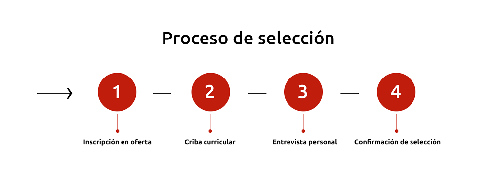Proceso seleccion proceso admision